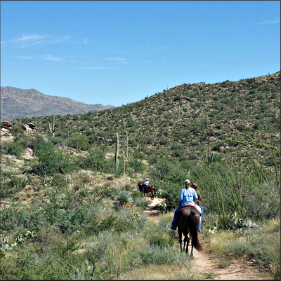 Guests exploring the local trails on horseback.